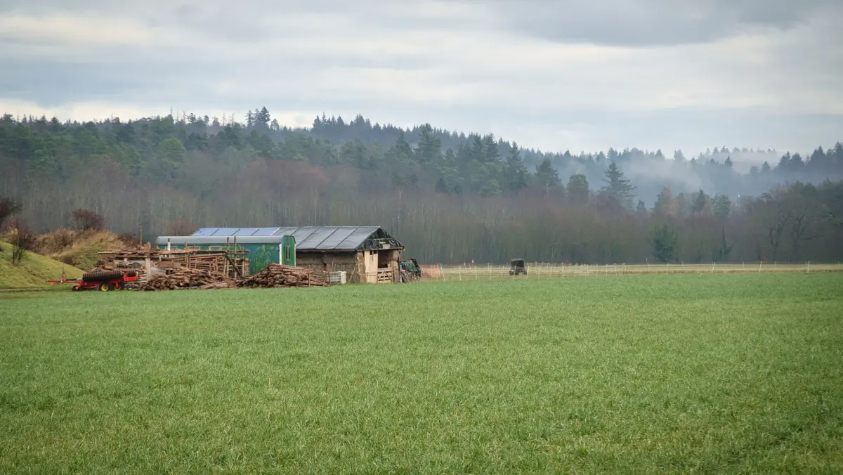 Netcongestie Drenthe noodstroom: wat als u niet kunt