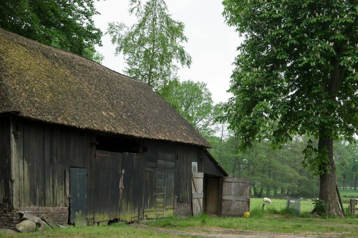 Noodstroom aggregaat buiten opslaan Drenthe: schuur,