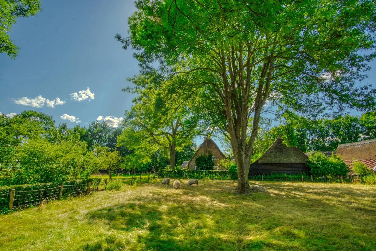 Noodstroom boerderij Drenthe: vermogen, kosten en