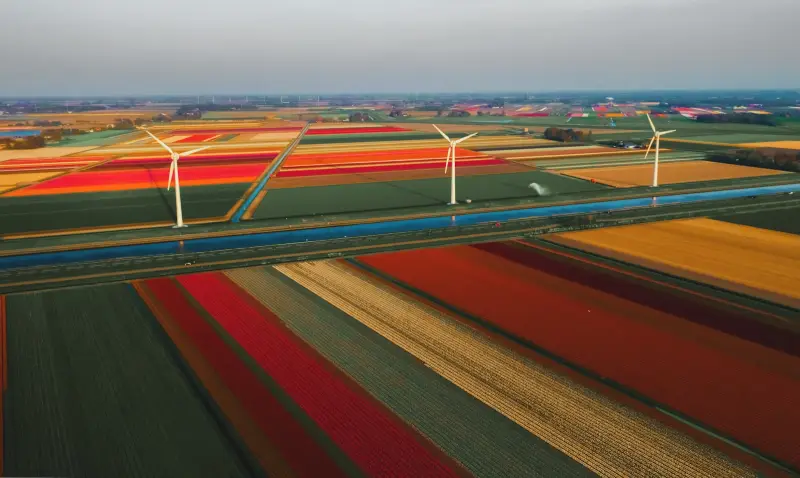 Noodstroom kas stroomstoring: aggregaat of batterij?