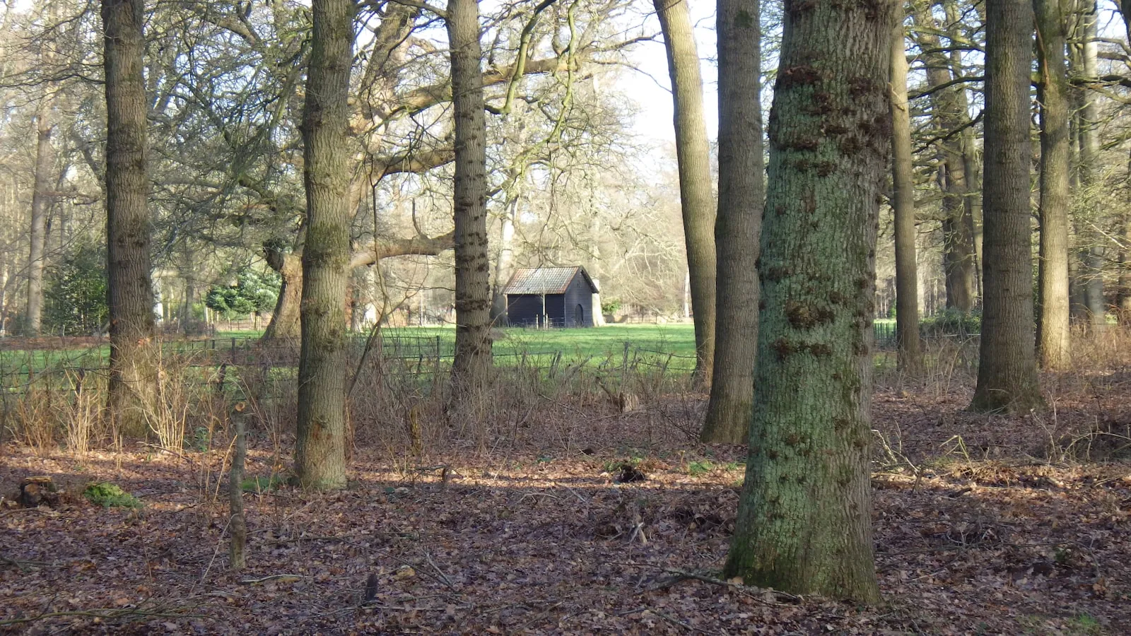 Noodstroom vakantiewoning Drenthe: kosten en opties